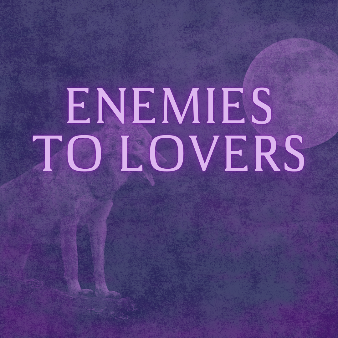 Enemies to Lovers
