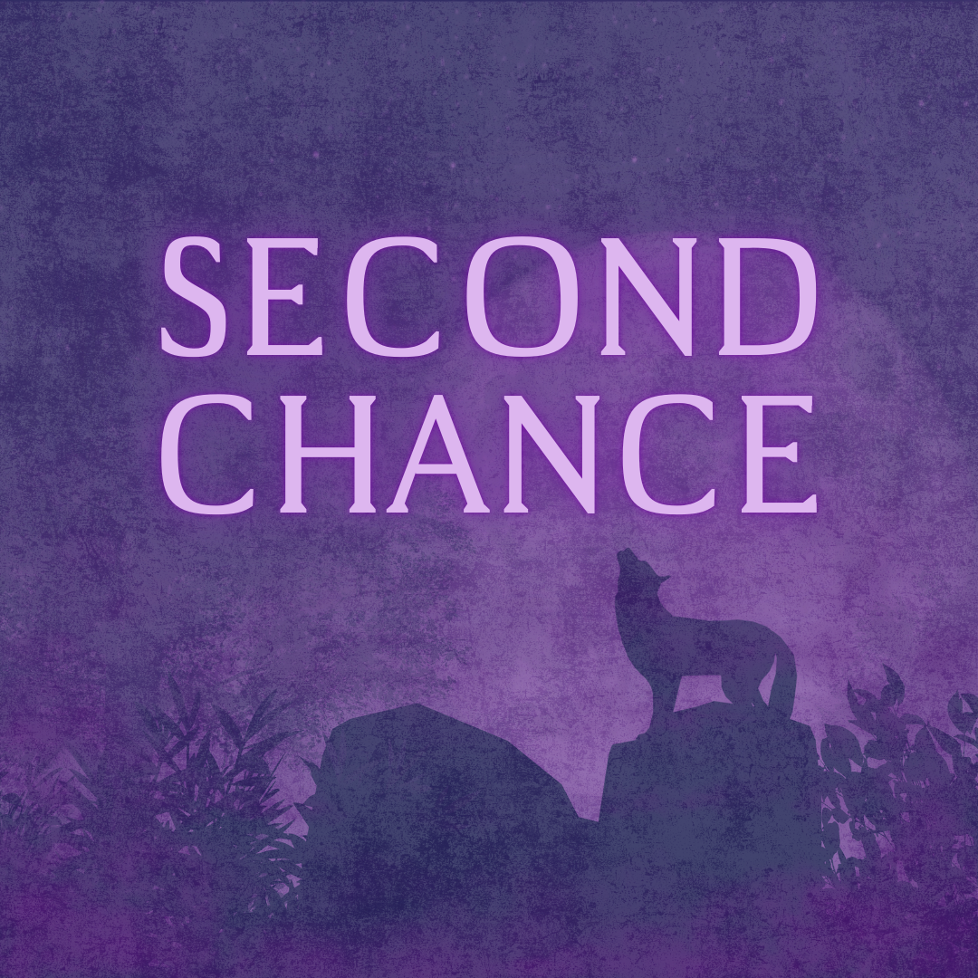 Second Chance